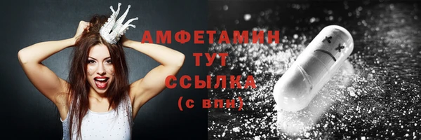 метадон Каменка