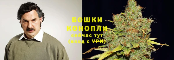 метадон Каменка