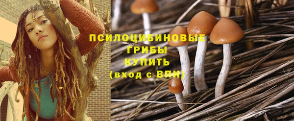 метадон Каменка