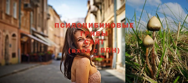 метадон Каменногорск