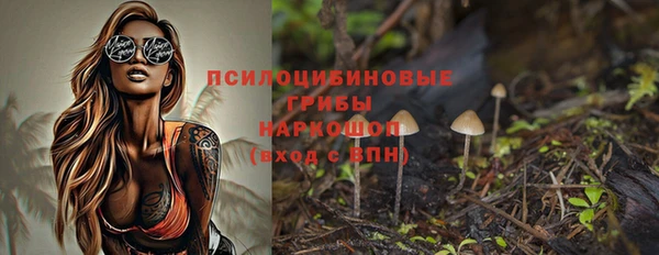 метадон Каменка