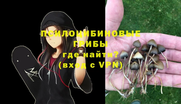 амф Каменск-Шахтинский