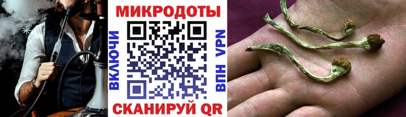 Псилоцибиновые грибы Cubensis  Купить где  Добрянка 